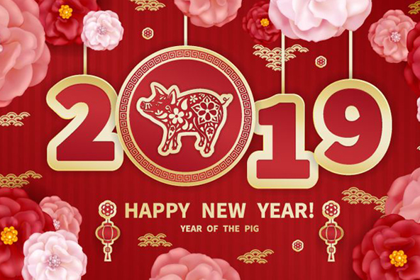 RSID SOLUTIONS WISHES YOU A NEW YEAR 2019 FULL OF JOY AND HAPPINESS!